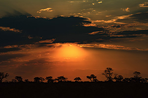 African Sunset.2